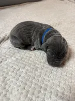 processed/db64a134-cebc-4fc8-81b4-be6a4a480b90/listing/591de256-716b-4dd3-846f-b9d8786a30d1/3cc12865-57ea-458d-9732-605a38c08214