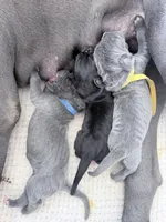 processed/db64a134-cebc-4fc8-81b4-be6a4a480b90/listing/591de256-716b-4dd3-846f-b9d8786a30d1/699496d8-076e-4d48-b5b5-d8b23cd543f8