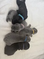 processed/db64a134-cebc-4fc8-81b4-be6a4a480b90/listing/591de256-716b-4dd3-846f-b9d8786a30d1/a10216b4-69f4-449f-8bca-1394e45560e1