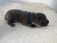 processed/db64a134-cebc-4fc8-81b4-be6a4a480b90/listing/591de256-716b-4dd3-846f-b9d8786a30d1/a4a9344c-3b64-4e58-8abf-8b5380f77106