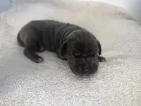 processed/db64a134-cebc-4fc8-81b4-be6a4a480b90/listing/591de256-716b-4dd3-846f-b9d8786a30d1/c196cd43-27bb-4e95-aadf-6b5d91620545