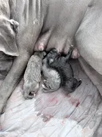 processed/db64a134-cebc-4fc8-81b4-be6a4a480b90/listing/6b32c03e-24fe-488a-bd43-86c2b84cb0e7/7f18f831-5cd4-4518-baf4-5e6e3f21a3e0