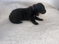 processed/db64a134-cebc-4fc8-81b4-be6a4a480b90/listing/6b32c03e-24fe-488a-bd43-86c2b84cb0e7/8daa2039-4dfc-4b38-a272-b44e74785b8c