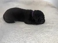 processed/db64a134-cebc-4fc8-81b4-be6a4a480b90/listing/6b32c03e-24fe-488a-bd43-86c2b84cb0e7/b73c441f-7cb2-4e73-a4f3-542582885272