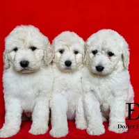 processed/db671d6d-ab0b-4d8f-8e4e-df8fbb8c0559/facility/965a2cc1-4a41-47d7-ad9b-49d712d8c0bc