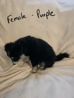 processed/db6bb6b2-c05b-40f7-9004-ab0e77ed8204/listing/8acea1a6-4510-4fdb-8d17-ad735b8d019f/a86eca7e-dccc-4354-81e5-681e284f6da4