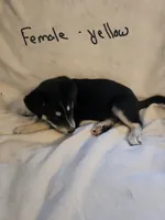 processed/db6bb6b2-c05b-40f7-9004-ab0e77ed8204/listing/99c93b3d-5fad-4b55-9f60-93d36f5ae51f/1e078af4-5211-4303-92dc-5525356154b5