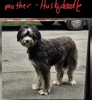 processed/db6bb6b2-c05b-40f7-9004-ab0e77ed8204/listing/99c93b3d-5fad-4b55-9f60-93d36f5ae51f/4c27f76c-96e1-48a5-a624-28e4fb4dd509