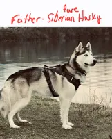 processed/db6bb6b2-c05b-40f7-9004-ab0e77ed8204/listing/99c93b3d-5fad-4b55-9f60-93d36f5ae51f/d6a3a260-8e41-41a8-96d9-57a023269042