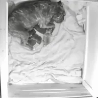 processed/db7c4c46-de8b-4a5d-9fee-3a9c87fbf45d/facility/0adb08b9-820e-495e-88e4-29c4526bfd67