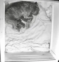 processed/db7c4c46-de8b-4a5d-9fee-3a9c87fbf45d/facility/0adb08b9-820e-495e-88e4-29c4526bfd67