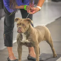 processed/db7c4c46-de8b-4a5d-9fee-3a9c87fbf45d/facility/0d3b46f7-2c2f-4a8e-8605-5a57d68138f5