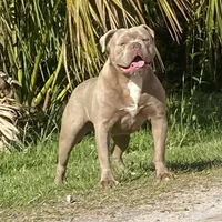 processed/db7c4c46-de8b-4a5d-9fee-3a9c87fbf45d/facility/45fec0b5-4a6e-4329-93f4-2dcf55f32953