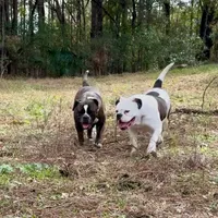 processed/db7c4c46-de8b-4a5d-9fee-3a9c87fbf45d/facility/4b2a79ce-9b54-4173-b7be-2861f27c8ae7