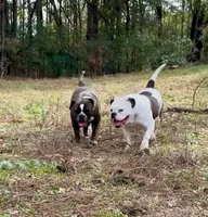 processed/db7c4c46-de8b-4a5d-9fee-3a9c87fbf45d/facility/4b2a79ce-9b54-4173-b7be-2861f27c8ae7