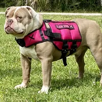 processed/db7c4c46-de8b-4a5d-9fee-3a9c87fbf45d/facility/a4f31084-6b65-4a99-9720-3c4c2e666573