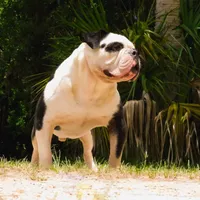 processed/db7c4c46-de8b-4a5d-9fee-3a9c87fbf45d/facility/e028443f-ff59-40ee-8179-88c3b5279e6f