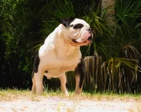 processed/db7c4c46-de8b-4a5d-9fee-3a9c87fbf45d/facility/e028443f-ff59-40ee-8179-88c3b5279e6f