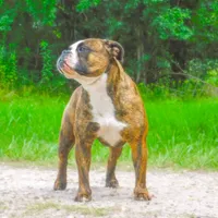 processed/db7c4c46-de8b-4a5d-9fee-3a9c87fbf45d/facility/eb7bda21-a665-482c-92ce-bc42f07318f7