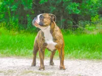 processed/db7c4c46-de8b-4a5d-9fee-3a9c87fbf45d/facility/eb7bda21-a665-482c-92ce-bc42f07318f7