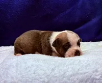 processed/db7c4c46-de8b-4a5d-9fee-3a9c87fbf45d/listing/153657e3-26dc-4fb4-86b5-a7992a6d86d4/0d5e2d3f-a535-4f13-8dcc-2e9ad6fbe48e