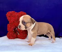 processed/db7c4c46-de8b-4a5d-9fee-3a9c87fbf45d/listing/153657e3-26dc-4fb4-86b5-a7992a6d86d4/0dcf1f15-46d4-4b2a-ab21-1d064c65f8d3