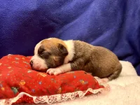 processed/db7c4c46-de8b-4a5d-9fee-3a9c87fbf45d/listing/153657e3-26dc-4fb4-86b5-a7992a6d86d4/345d54ca-5bdb-418b-933b-d78595946737