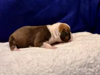 processed/db7c4c46-de8b-4a5d-9fee-3a9c87fbf45d/listing/153657e3-26dc-4fb4-86b5-a7992a6d86d4/47e36384-f022-499a-8b46-11a0bfe0fb2b