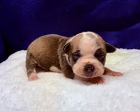 processed/db7c4c46-de8b-4a5d-9fee-3a9c87fbf45d/listing/153657e3-26dc-4fb4-86b5-a7992a6d86d4/b9209da0-8395-49c8-bd38-487e99230986