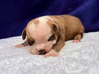 processed/db7c4c46-de8b-4a5d-9fee-3a9c87fbf45d/listing/5c6b4492-afce-482b-9339-99830042e63d/46f7be91-b699-4533-9097-35adb7cd62c5