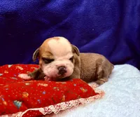 processed/db7c4c46-de8b-4a5d-9fee-3a9c87fbf45d/listing/5c6b4492-afce-482b-9339-99830042e63d/51e0301d-694a-4439-98f5-4cc4b7ef1d19