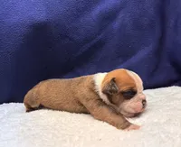 processed/db7c4c46-de8b-4a5d-9fee-3a9c87fbf45d/listing/5c6b4492-afce-482b-9339-99830042e63d/d5ea0f9a-a82f-43d1-9715-5a3a12065319