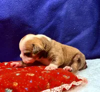 processed/db7c4c46-de8b-4a5d-9fee-3a9c87fbf45d/listing/5c6b4492-afce-482b-9339-99830042e63d/e59367d3-7b29-42e0-956b-c76388cf4bb6