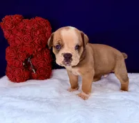 processed/db7c4c46-de8b-4a5d-9fee-3a9c87fbf45d/listing/5c6b4492-afce-482b-9339-99830042e63d/eea86559-b92d-4b61-a898-ea30b2926e81