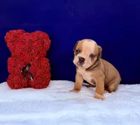 processed/db7c4c46-de8b-4a5d-9fee-3a9c87fbf45d/listing/5c6b4492-afce-482b-9339-99830042e63d/f85313ff-a295-4ec2-aca6-9ba7283beabd