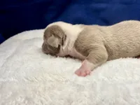 processed/db7c4c46-de8b-4a5d-9fee-3a9c87fbf45d/listing/8539a8a2-6301-43c0-b87d-34a48345a694/9a39e644-3880-4599-a8ee-ac540313c920