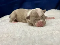 processed/db7c4c46-de8b-4a5d-9fee-3a9c87fbf45d/listing/8539a8a2-6301-43c0-b87d-34a48345a694/a5ef4b4b-d9f8-4798-bbfb-bb8d0458cce8