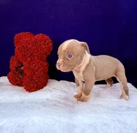 processed/db7c4c46-de8b-4a5d-9fee-3a9c87fbf45d/listing/8539a8a2-6301-43c0-b87d-34a48345a694/b26da66a-a334-42ad-a4ed-e9bd7d056128