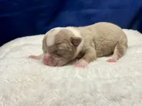 processed/db7c4c46-de8b-4a5d-9fee-3a9c87fbf45d/listing/8539a8a2-6301-43c0-b87d-34a48345a694/ddfc61f6-c530-4d9c-a9e4-582dc6a41e87