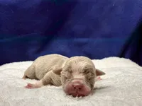 processed/db7c4c46-de8b-4a5d-9fee-3a9c87fbf45d/listing/bc27b638-739f-4988-bc49-e4e4837cf4e8/02c40961-82a4-40a2-8b9a-abc5e9e547bd