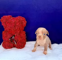 processed/db7c4c46-de8b-4a5d-9fee-3a9c87fbf45d/listing/bc27b638-739f-4988-bc49-e4e4837cf4e8/0de37083-fd0c-436b-bfcc-c982dddde343