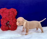 processed/db7c4c46-de8b-4a5d-9fee-3a9c87fbf45d/listing/bc27b638-739f-4988-bc49-e4e4837cf4e8/be42e052-8a63-4b49-beb2-b34c970c1514