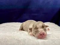 processed/db7c4c46-de8b-4a5d-9fee-3a9c87fbf45d/listing/bc27b638-739f-4988-bc49-e4e4837cf4e8/fcb171ce-99ca-4e34-b265-6397136ad75d