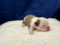 processed/db7c4c46-de8b-4a5d-9fee-3a9c87fbf45d/listing/c74f8dd5-71bc-4e0a-94a9-39fb95afd0c2/0cc4122e-f5a3-4ee2-945f-4d639ab9eb55