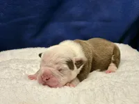 processed/db7c4c46-de8b-4a5d-9fee-3a9c87fbf45d/listing/c74f8dd5-71bc-4e0a-94a9-39fb95afd0c2/43c9984f-c881-40fb-894a-64e96a91295e