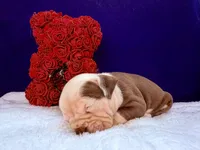 processed/db7c4c46-de8b-4a5d-9fee-3a9c87fbf45d/listing/c74f8dd5-71bc-4e0a-94a9-39fb95afd0c2/4a9f9d04-d8df-4a90-838a-3a9b8eb5af7e