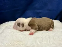 processed/db7c4c46-de8b-4a5d-9fee-3a9c87fbf45d/listing/c74f8dd5-71bc-4e0a-94a9-39fb95afd0c2/b350cbdf-8d23-401d-bc32-8cd6416fb14c