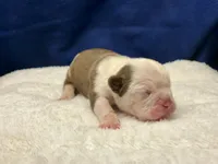 processed/db7c4c46-de8b-4a5d-9fee-3a9c87fbf45d/listing/c74f8dd5-71bc-4e0a-94a9-39fb95afd0c2/fd4ee11d-c0b9-4600-b0ce-8a47787ef7c1