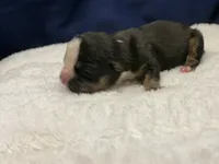 processed/db7c4c46-de8b-4a5d-9fee-3a9c87fbf45d/listing/ec05d7bc-53e0-43a8-a2ac-a46747fb6c2d/42a15a8f-c326-415c-a711-0449b84dc9bf