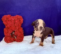 processed/db7c4c46-de8b-4a5d-9fee-3a9c87fbf45d/listing/ec05d7bc-53e0-43a8-a2ac-a46747fb6c2d/f1235d94-15c7-4e86-8456-8e5db068a8a8